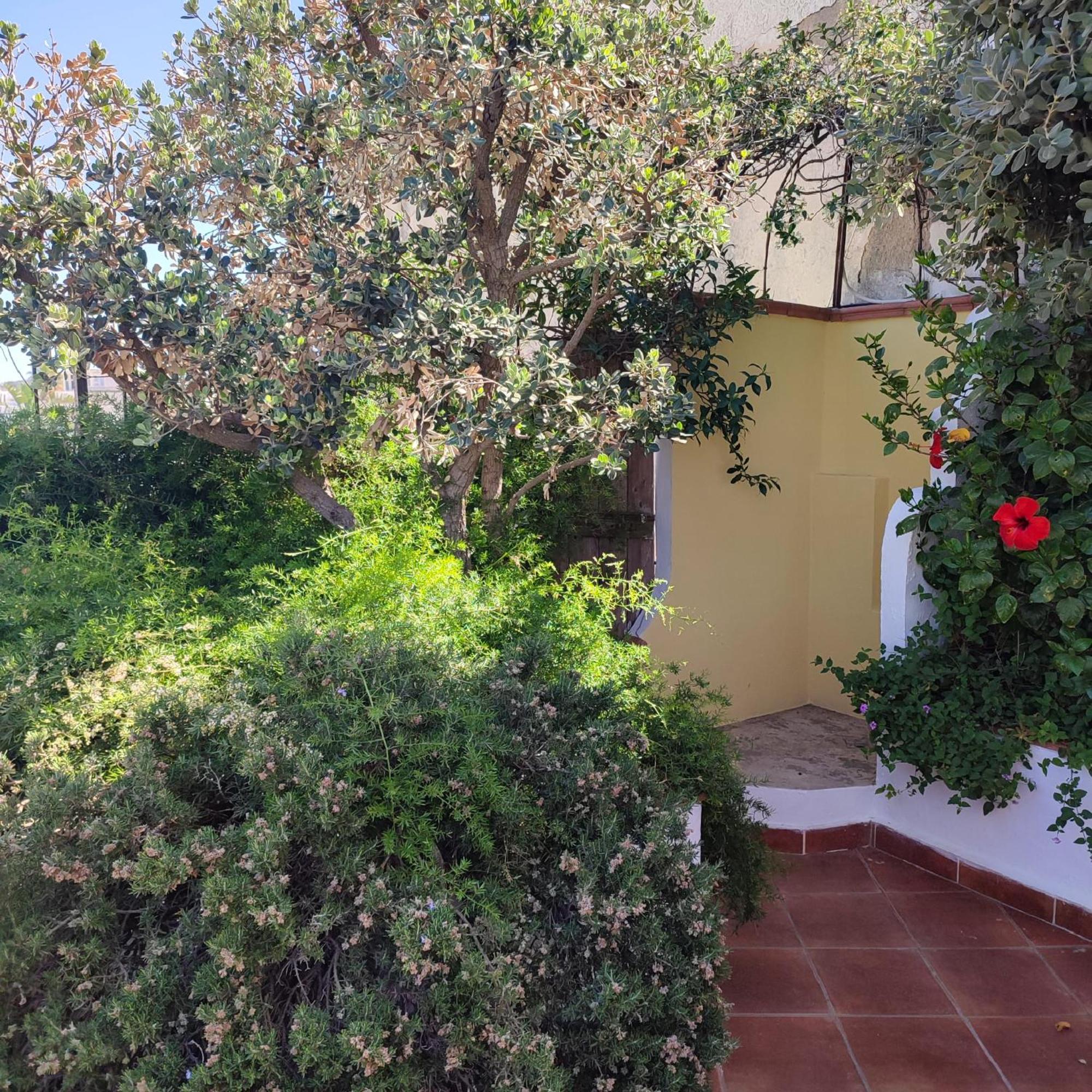 Hotel Villa Verde Forio di Ischia Exterior foto
